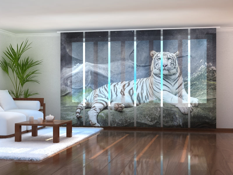 Paneles Japoneses Tigre blanco sobre la Roca
