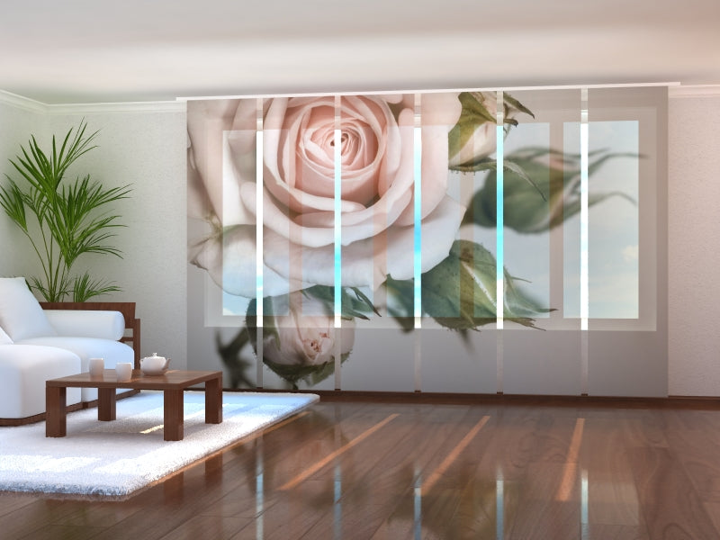 Paneles Japoneses Hermosa Rosa con Capullos