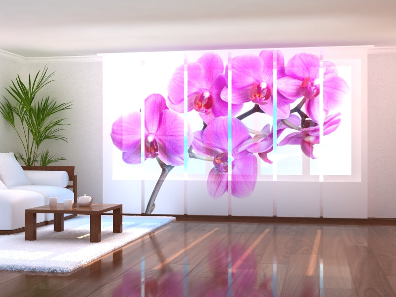 Paneles Japoneses Felicidad Carmesí