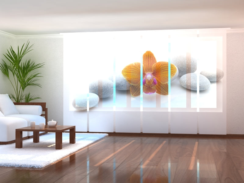 Paneles Japoneses Orquídea Anaranjada sobre Piedras de Spa