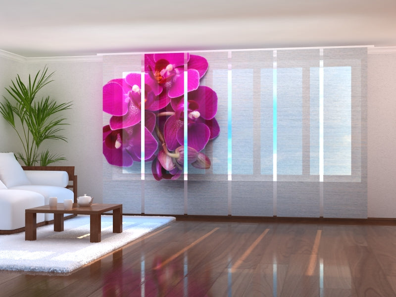 Paneles Japoneses Orquídea color Frambuesa sobre Madera Gris