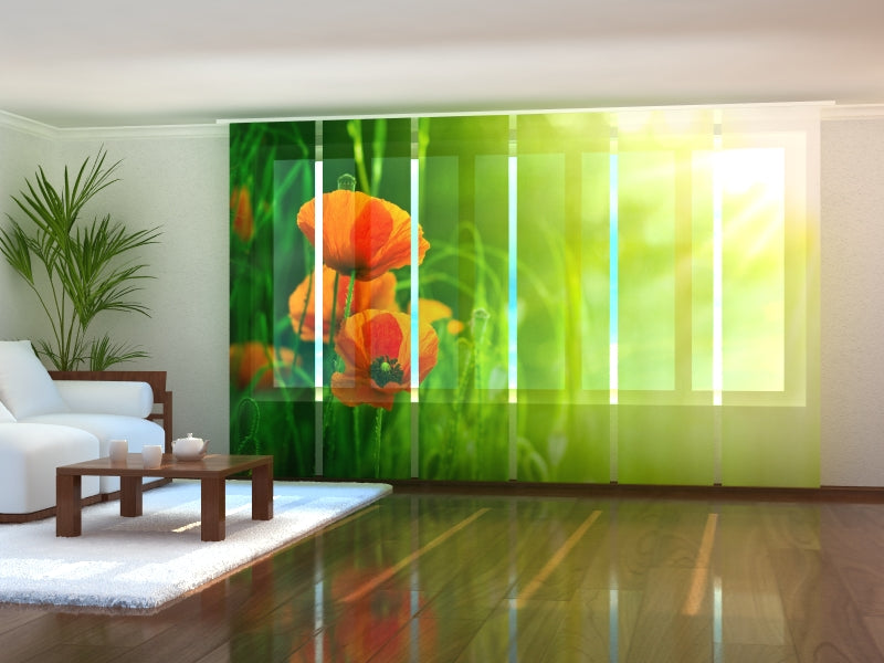 Paneles Japoneses Amapolas Rojas en Campo Verde
