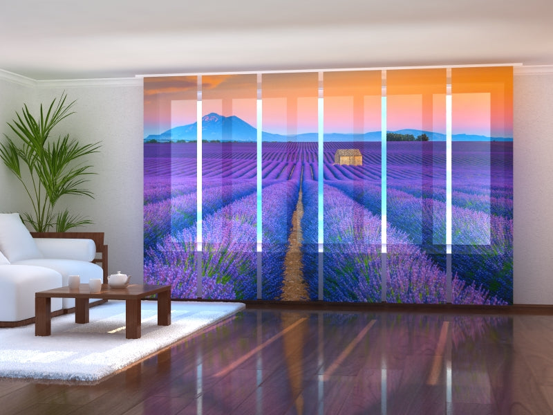 Paneles Japoneses Maravillosos Campos de Lavanda en la Provenza