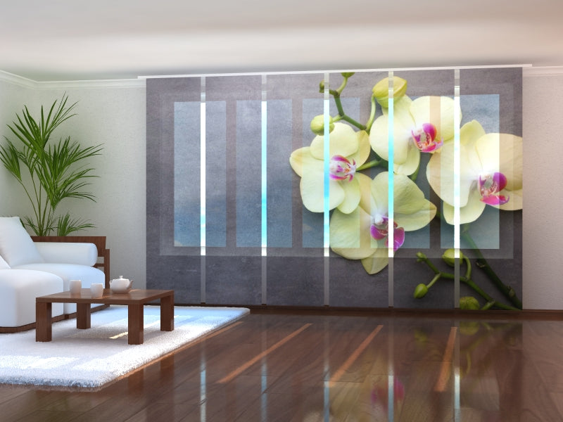 Paneles Japoneses Orquídea Amarilla sobre el fondo Gris