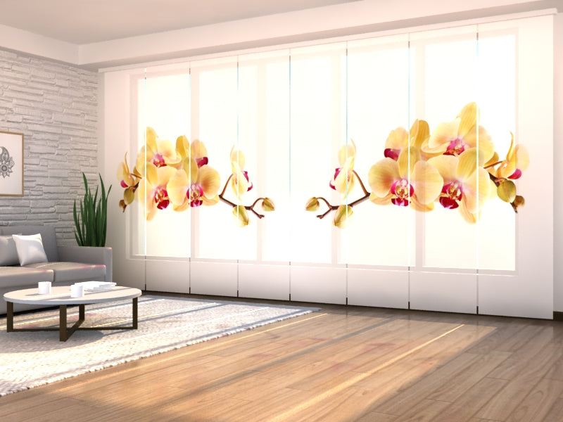Paneles Japoneses Orquídea Dorada en Fondo Blanco