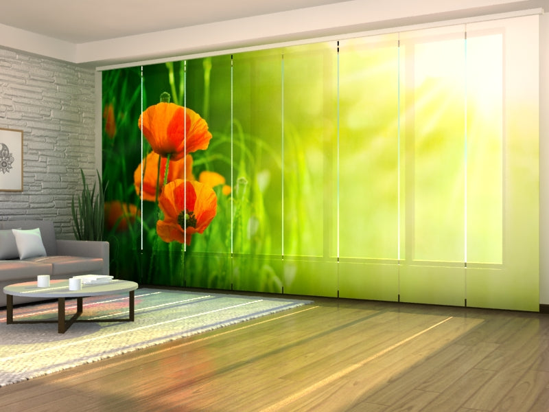 Paneles Japoneses Amapolas Rojas en Campo Verde