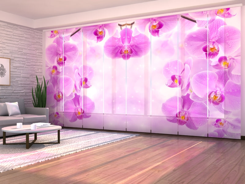 Paneles Japoneses Orquídea Estrellada