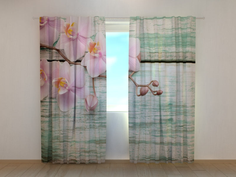 Cortina Preciosas Orquídeas en una Madera Vieja Azul