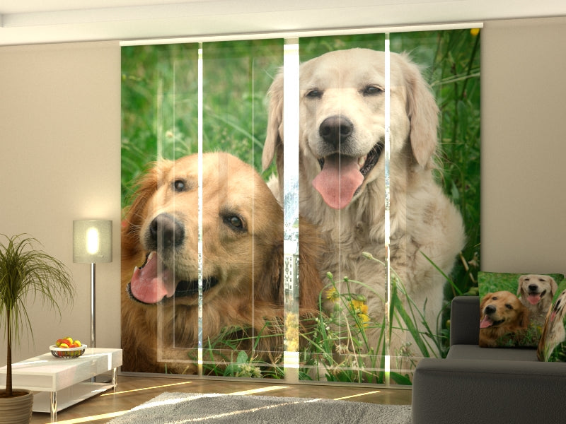 Paneles Japoneses Labradores Retrievers en la Pradera