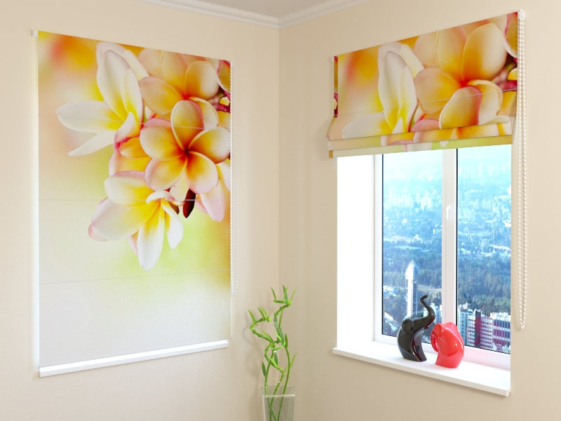 Estores Plegables Flor Tropical Frangipani